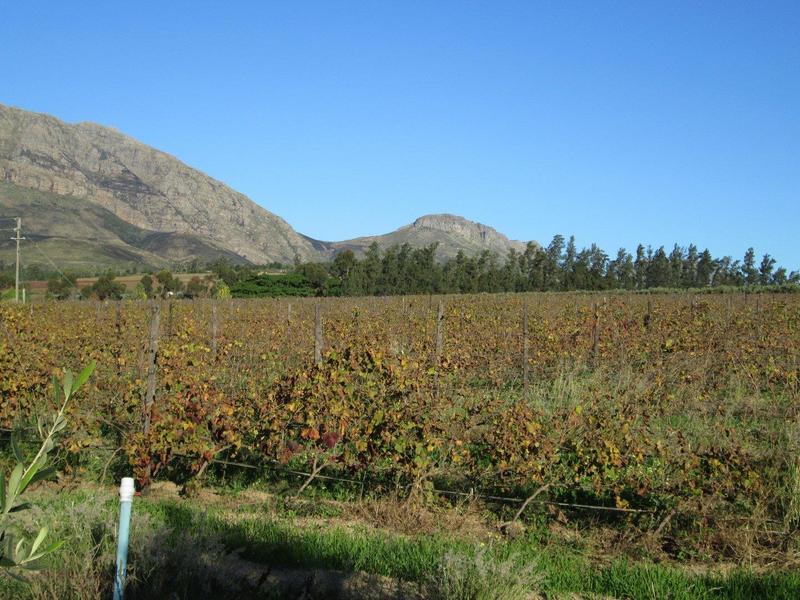 0 Bedroom Property for Sale in Wellington Western Cape